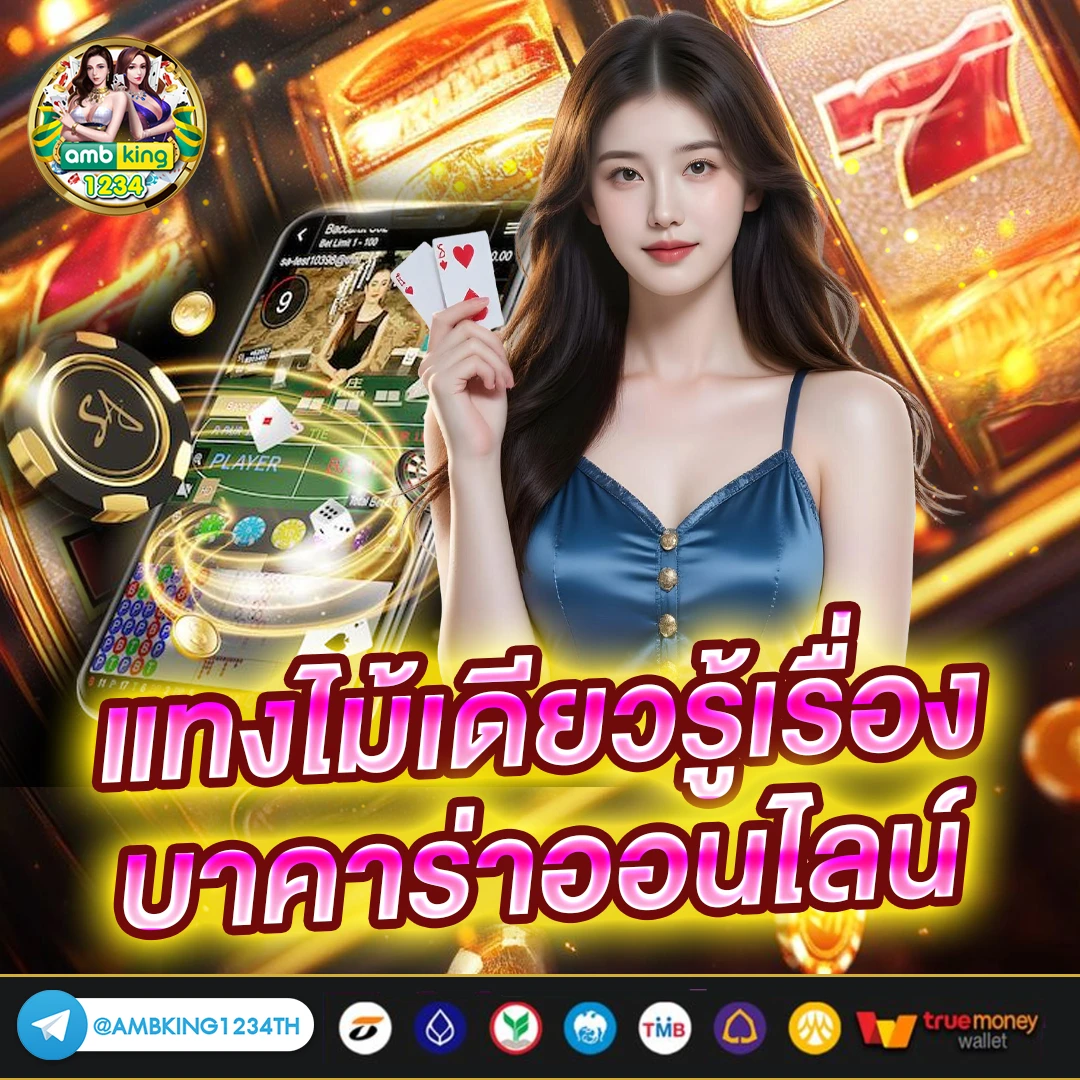 บาราค่า - แบนเนอร์โปรโมชั่น