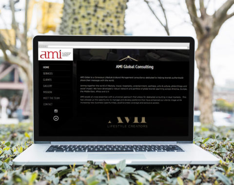 AMI Global Consulting